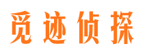 淮安市婚外情调查